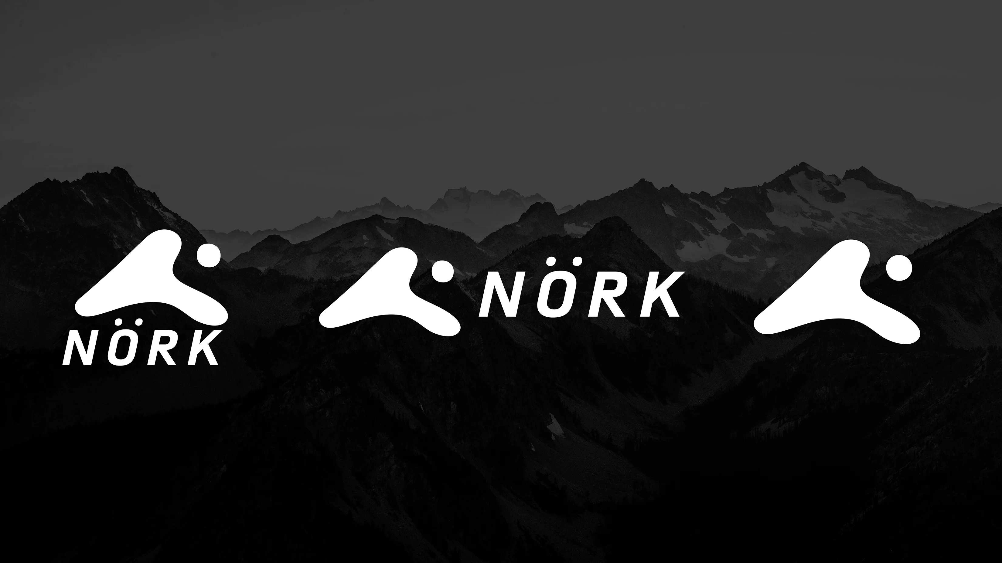 logo-variations